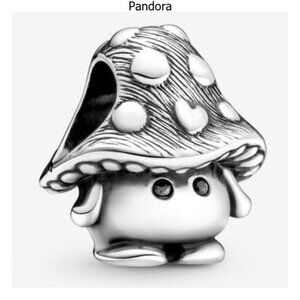 Pandora Charms